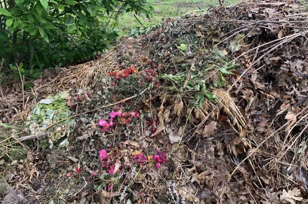 Pile of compost